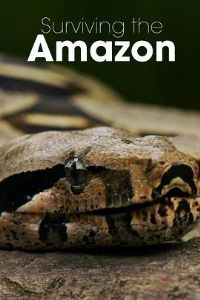 ��ս����ѷ��һ��