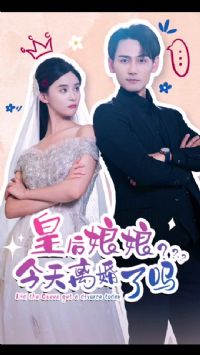 �ʺ���������������