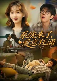 ϵͳ���˰����ӿ