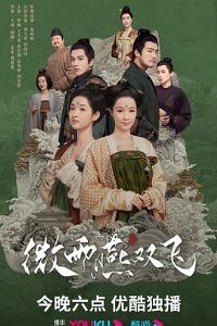 ΢����˫��